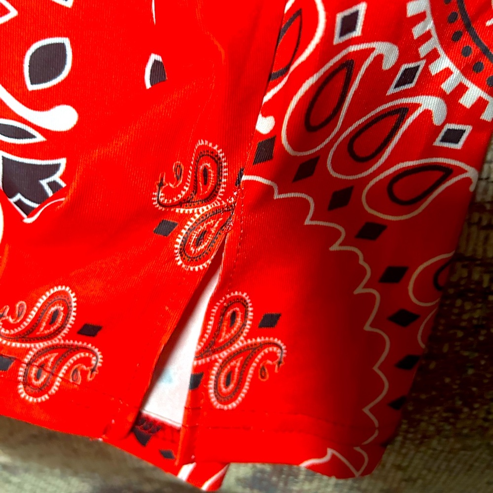 Red Bandana Mini Dress - Picture 3 of 3